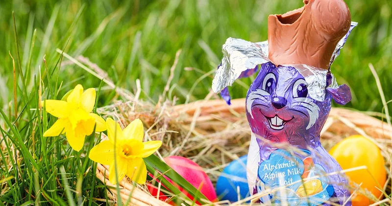 Wenn Sie selbst um Geld bitten: die Formulierung, die funktioniert
