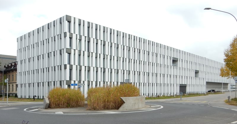 Bettwanzen Biss erkennen: So unterscheiden Sie ihn von Mückenstichen