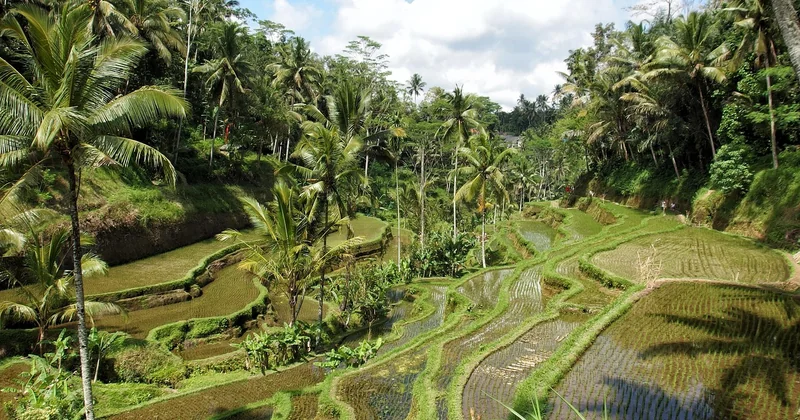 Ubud, Canggu oder Uluwatu: wo Sie konkret landen sollten