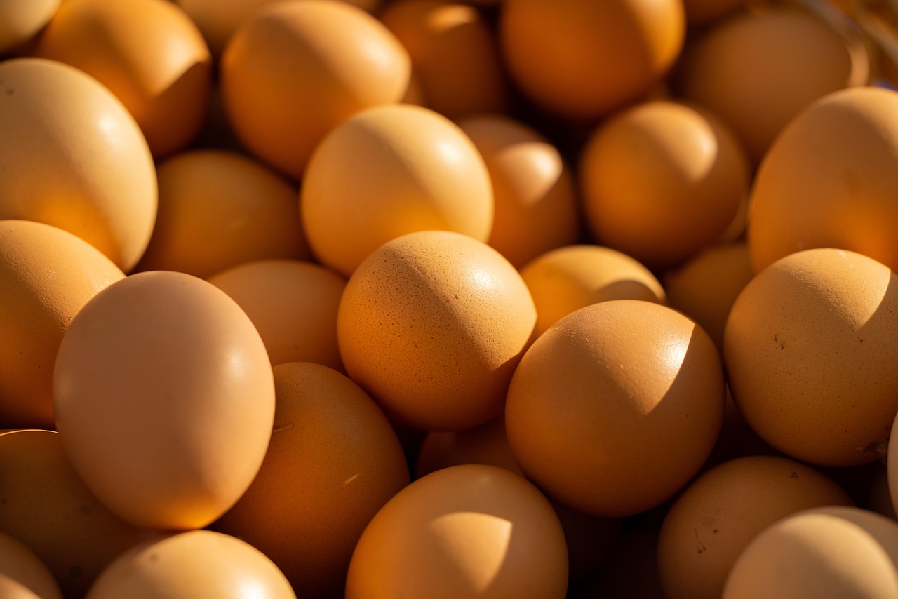 entdecken sie, wie eine gesunde ernährung ihr wohlbefinden steigert. tipps, rezepte und informationen rund um ausgewogene mahlzeiten für einen gesunden lebensstil.
