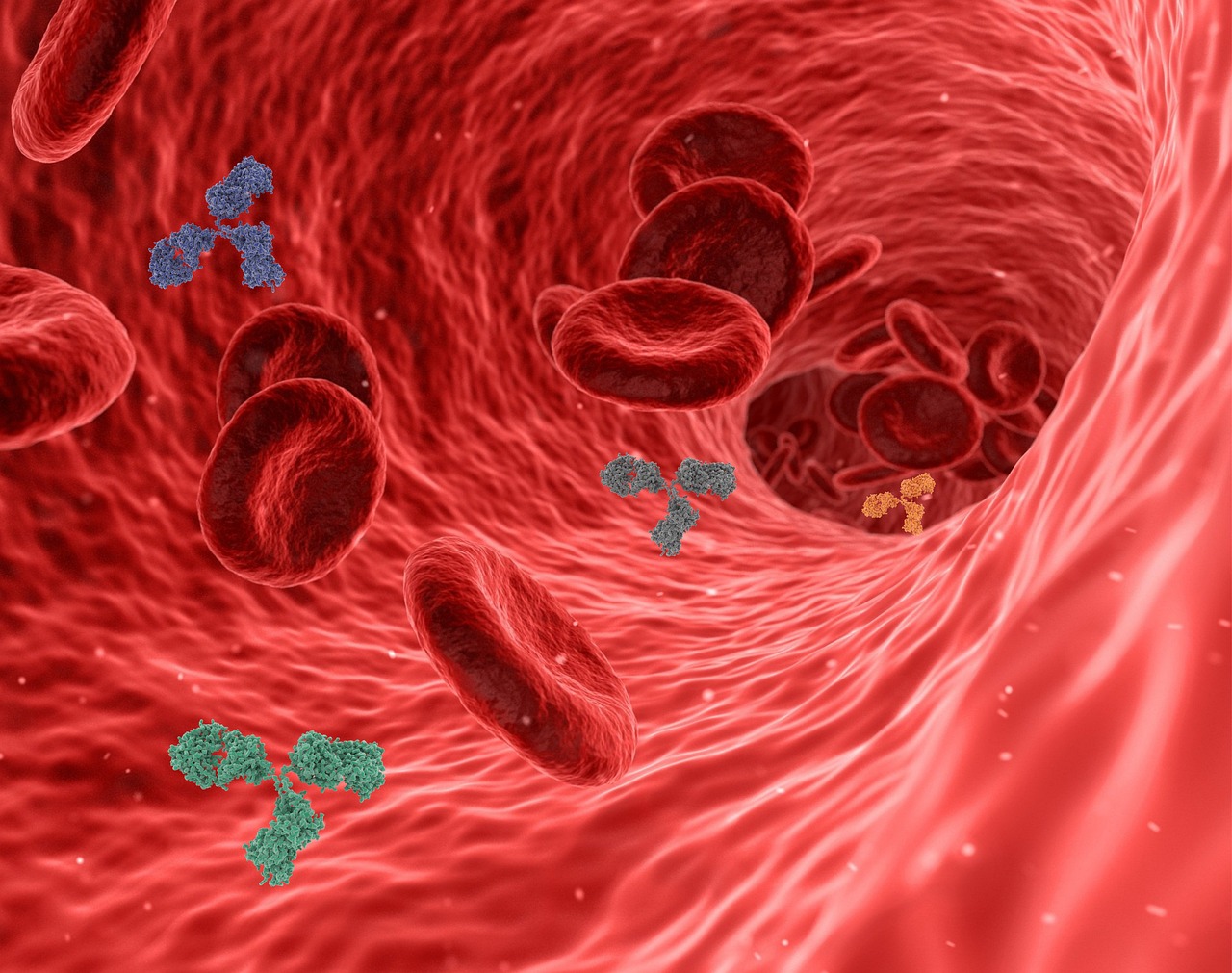entdecken sie, wie das immunsystem arbeitet, welche funktionen es im körper übernimmt und wie sie ihre abwehrkräfte auf natürliche weise stärken können. erfahren sie mehr über wissenschaftliche hintergründe und praktische gesundheitstipps.