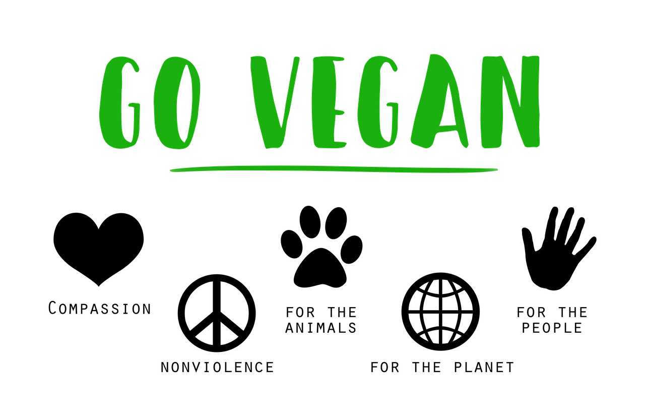 entdecken sie die welt des veganismus: vorteile, tipps für den alltag, leckere vegane rezepte und wie sie ein erfülltes, nachhaltiges leben ohne tierische produkte führen können.