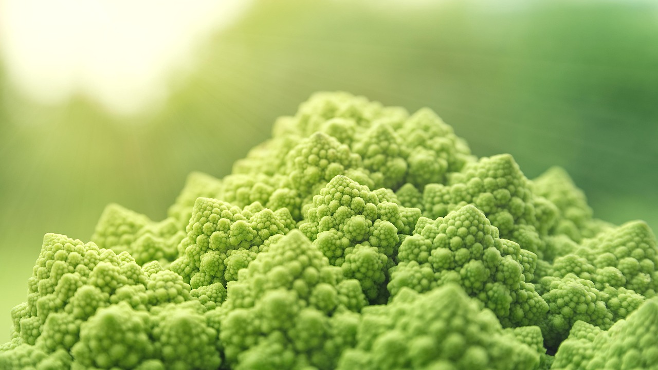 entdecken sie die welt des veganismus: erfahren sie alles über vegane ernährung, gesundheitliche vorteile, ethische gründe und leckere pflanzliche rezepte für einen nachhaltigen lebensstil.